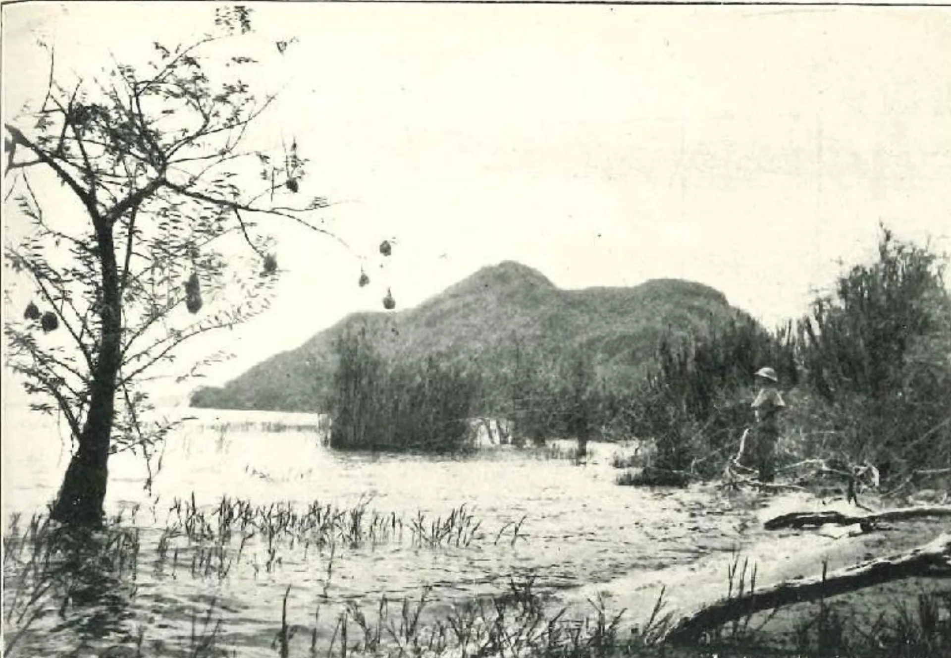 Shore sampling during the 1927 survey
