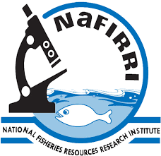 NaFIRRI